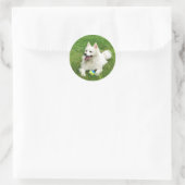 American Eskimo - Aufkleber für den Umschlag (Tasche)