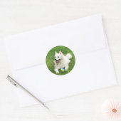 American Eskimo - Aufkleber für den Umschlag (Umschlag)