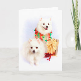 American Eskimo Christmas Card Feiertagskarte