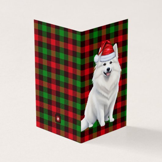 American Eskimo Christmas Dog mit Holiday Kariert (Vorderseite)