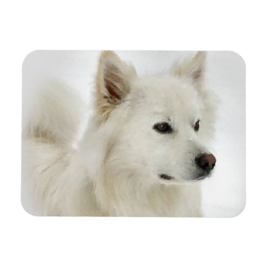American Eskimo Dog Art Magnet (Horizontal)