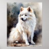 American Eskimo Dog Art Print Poster (Vorne)