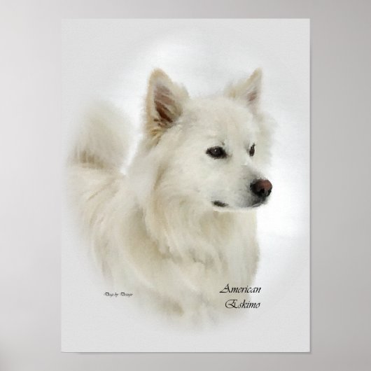 American Eskimo Dog Art Prints Poster (Vorne)