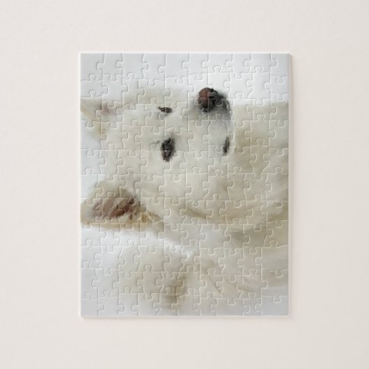 American Eskimo Dog Art Puzzle