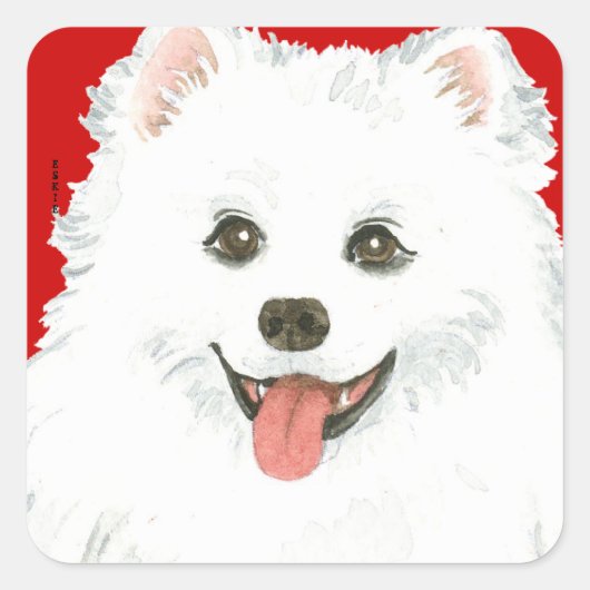 American Eskimo Dog Color Block Quadratischer Aufkleber (Vorderseite)