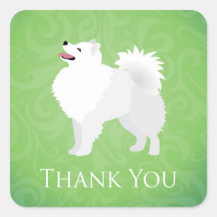 American Eskimo Dog - Danke Stickers