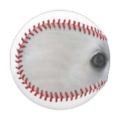 American_Eskimo_Dog eyes Baseball (Vorderseite Links)