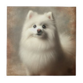 American Eskimo Dog Fliese (Vorderseite)