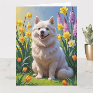 American Eskimo Dog Frühlingsblumen Malerei Karte