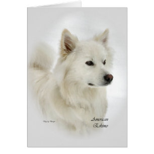 American Eskimo Dog Geschenke