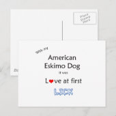 American Eskimo Dog Lick Design Postkarte (Vorne/Hinten)