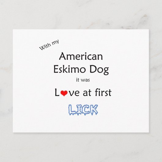 American Eskimo Dog Lick Design Postkarte (Vorderseite)