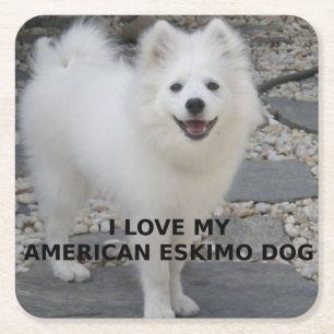 American_Eskimo_Dog_Liebe mit Bild Rechteckiger Pappuntersetzer