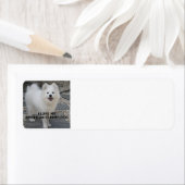 American_Eskimo_Dog_Liebe w pic (Insitu)