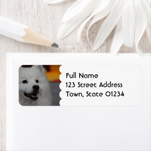 American Eskimo Dog Mailing Labels (Insitu)