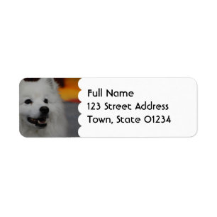 American Eskimo Dog Mailing Labels