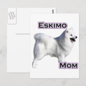American Eskimo Dog Mama 4 Postkarte (Vorne/Hinten)