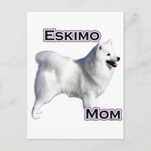 American Eskimo Dog Mama 4 Postkarte (Vorderseite)