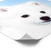 American Eskimo Dog Painting - Original Dog Art Poster (Ecke)