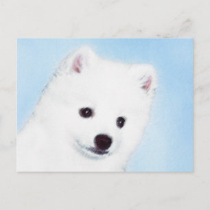 American Eskimo Dog Painting - Original Dog Art Postkarte