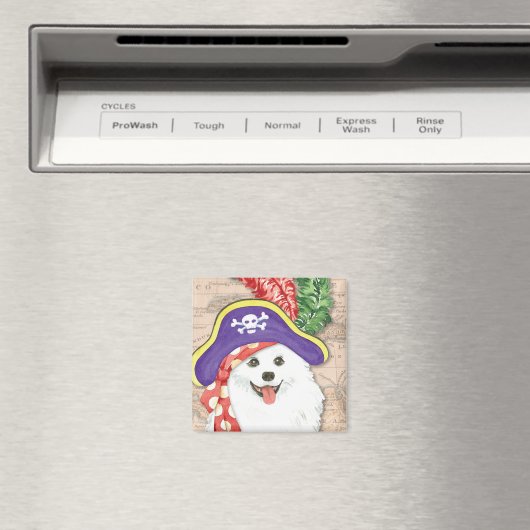 American Eskimo Dog Pirate Magnet (In Situ (Geschirrspüler))