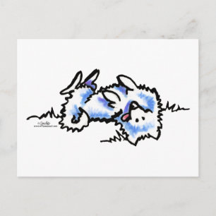 American Eskimo Dog Play Dead Postkarte