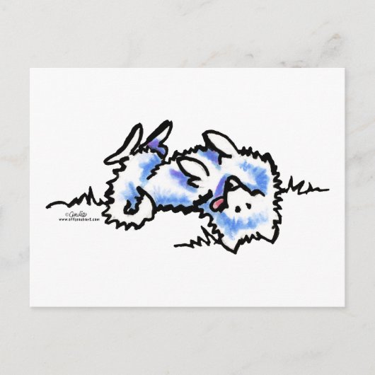 American Eskimo Dog Play Dead Postkarte (Vorderseite)