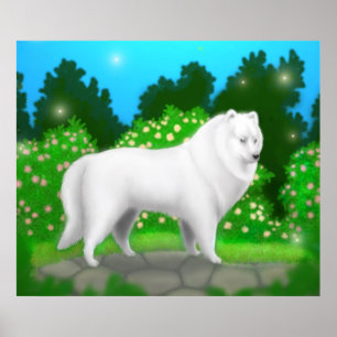 American Eskimo Dog Poster