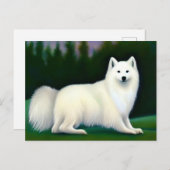 American Eskimo Dog Postkarte (Vorne/Hinten)