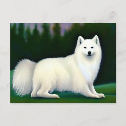 American Eskimo Dog Postkarte (Vorderseite)