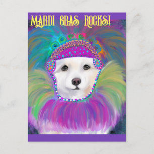 American Eskimo Dog Postkarte