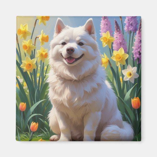 American Eskimo Dog Spring Blumen Malerei Magnet (Vorne)
