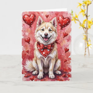 American Eskimo Dog Valentinstag mit Herzen Karte