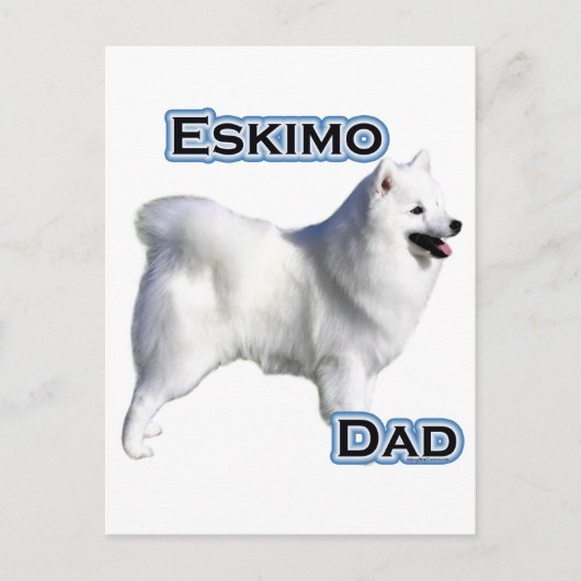 American Eskimo Dog Vater 4 Postkarte (Vorderseite)