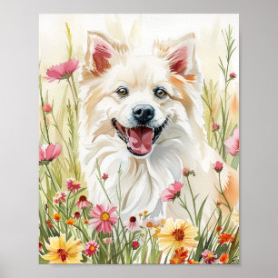 American Eskimo Dog Watercolor Wand an Wand Drucke