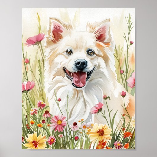 American Eskimo Dog Watercolor Wand an Wand Drucke (Vorne)