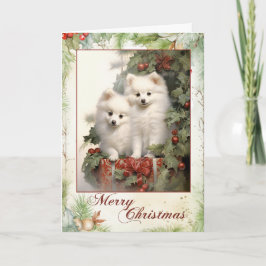 American Eskimo Dog Weihnachten