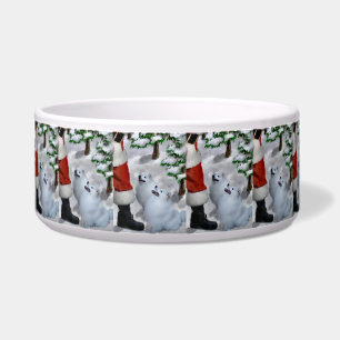 American Eskimo Dog Weihnachten Napf