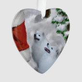 American Eskimo Dog Weihnachten Ornament (Vorderseite)