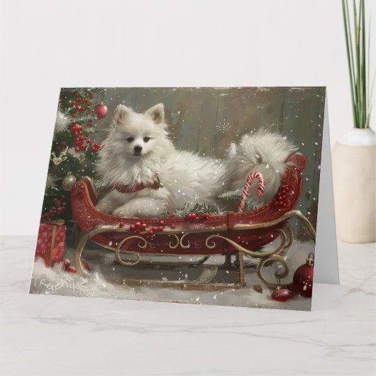 American Eskimo Dog Weihnachtsfest Karte (Vorderseite)