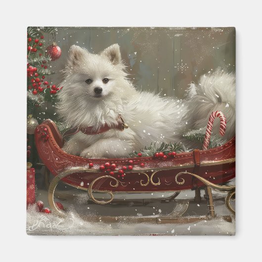 American Eskimo Dog Weihnachtsfest Magnet (Vorne)