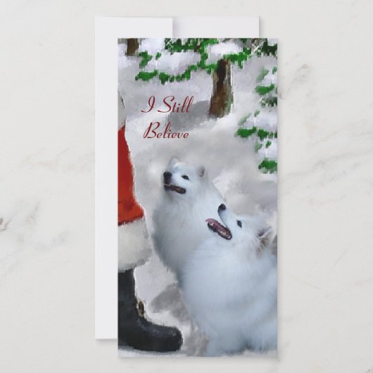 American Eskimo Dog Weihnachtsgeschenke Feiertagskarte (Vorderseite)