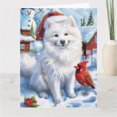 American Eskimo Dog Winter Wunderland Weihnachten Karte (Vorderseite)