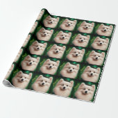 American Eskimo Hund in St. Patrick's Day Dress Geschenkpapier (Ungerollt)