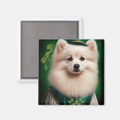 American Eskimo Hund in St. Patrick's Day Dress Magnet (Vorderseite/Rückseite)