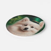 American Eskimo Hund in St. Patrick's Day Dress Pappteller (Schrägansicht)