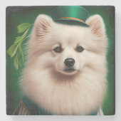 American Eskimo Hund in St. Patrick's Day Dress Steinuntersetzer (Vorderseite)