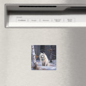 American Eskimo Let It Snow Weihnachten Magnet (In Situ (Geschirrspüler))