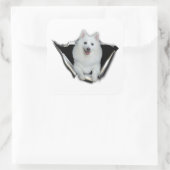 American Eskimo Lovers Quadratischer Aufkleber (Tasche)