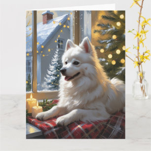 American Eskimo mit Weihnachtsbeleuchtung Urlaub Karte